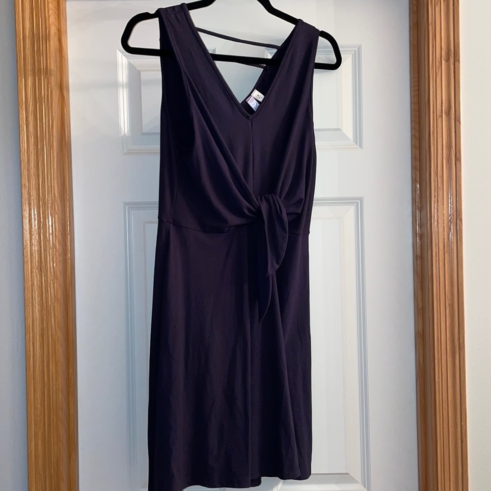 NWT Navy Skater Dress